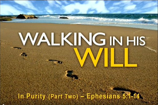 Walking in His Will - In Purity